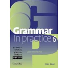 Grammar In Practice 6